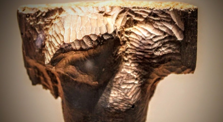 Il Crocifisso di Casa Buonarroti esposto fra i miei disegni al British&nbsp;Museum