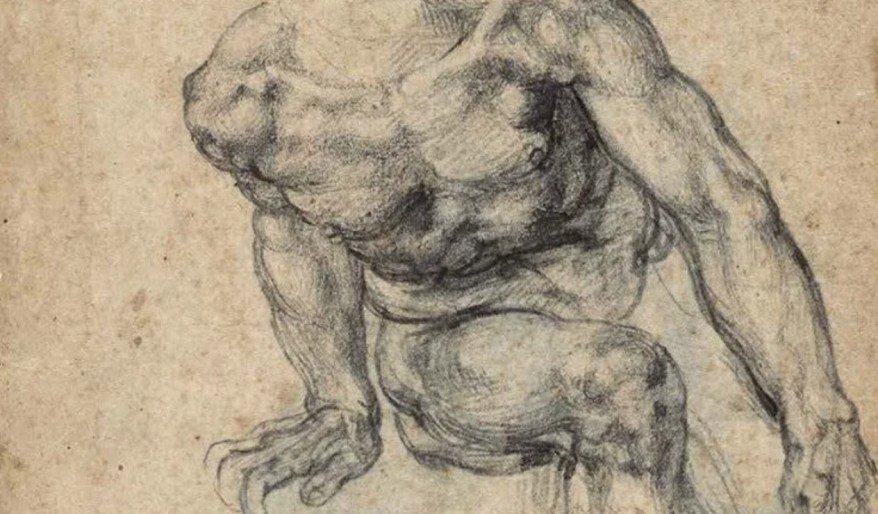 Il dettagliato studio di San Lorenzo per il Giudizio&nbsp;Universale