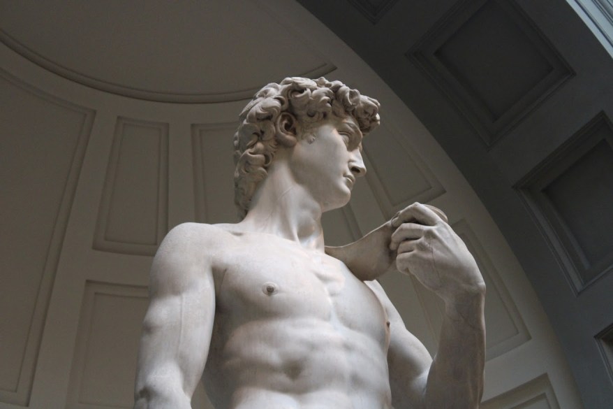 Quando il David fu mostrato in anteprima ai cittadini&nbsp;fiorentini