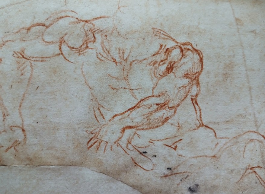 Cappella Sistina: lo studio per un&nbsp;ignudo