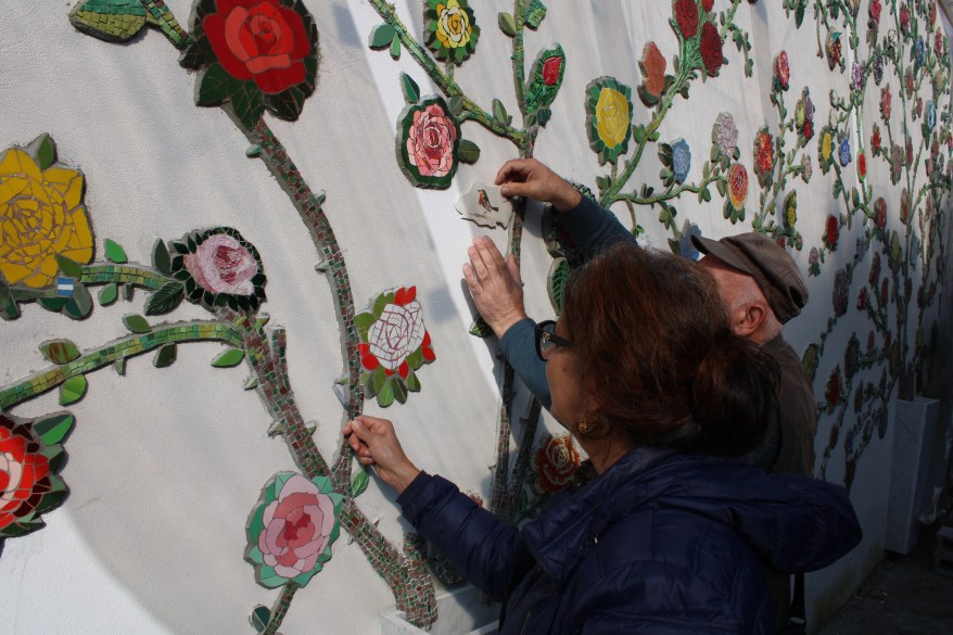 Roses for Carrara: terminato il murales con 530 rose a mosaico da tutto il&nbsp;mondo