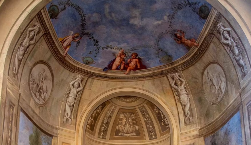 Storia e meraviglie del Giardino delle Camelie di Boboli: ecco come&nbsp;visitarlo