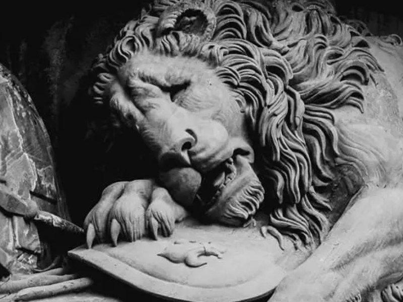 Quando il marmo prende vita: le più belle sculture di animali della storia&nbsp;dell’arte
