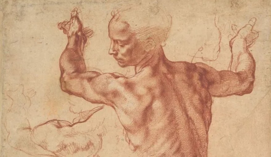 La costruzione del corpo nel Rinascimento: Io, Leonardo, Dürer e Tiziano in mostra a&nbsp;Venezia