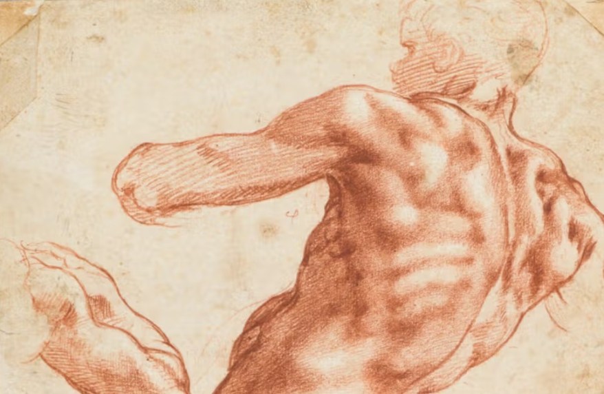 Michelangelo and Man: il corpo maschile al centro della mostra del Teylers Museum