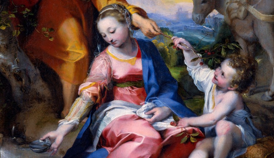 La Madonna delle Ciliegie del Barocci a Torino per&nbsp;Natale