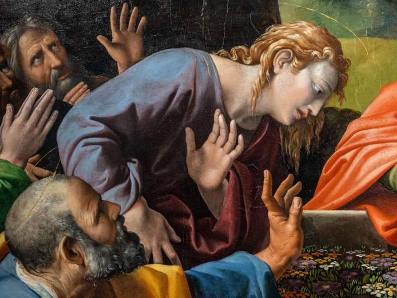 L’atteso ritorno. Raffaello per Monteluce dai Musei&nbsp;Vaticani