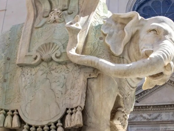 Roma, sfregiata la statua dell’elefantino del Bernini: zanna spezzata in piazza della&nbsp;Minerva