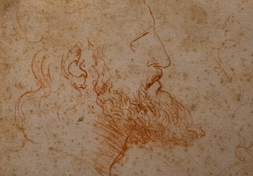 Leonardo da Vinci, a Torino un capolavoro sorprendente: il ritratto “in movimento”