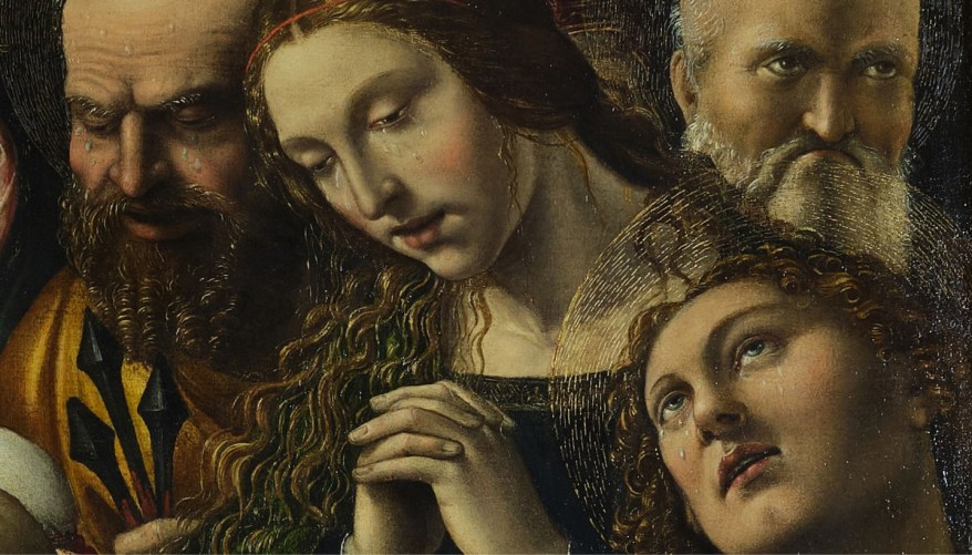 Sodoma in mostra a Torino: il Rinascimento al Museo&nbsp;Accorsi-Ometto