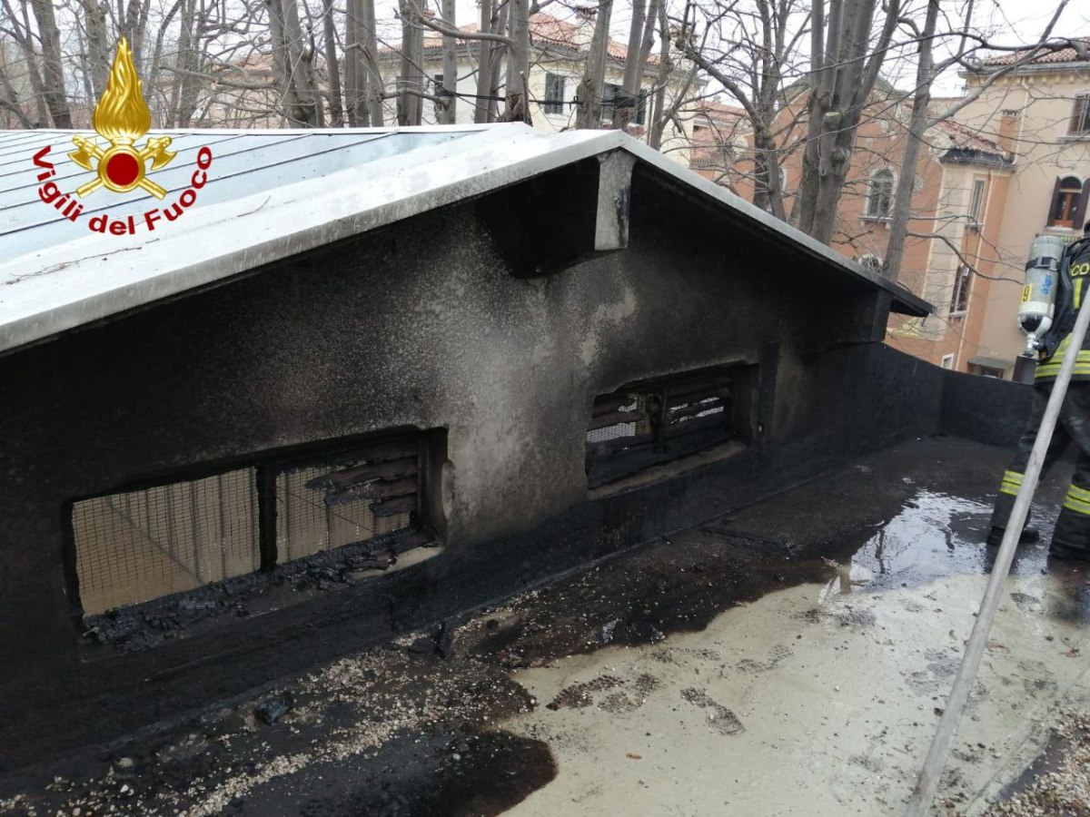 Incendio alla copertura di un padiglione della Biennale di Venezia: fiamme domate dai vigili del&nbsp;fuoco