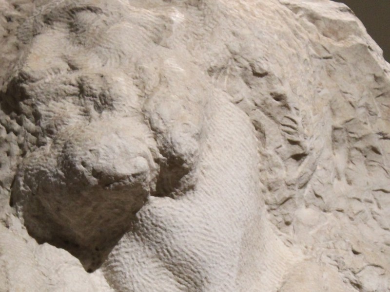 24 aprile 1503: la promessa dei dodici apostoli per&nbsp;Firenze