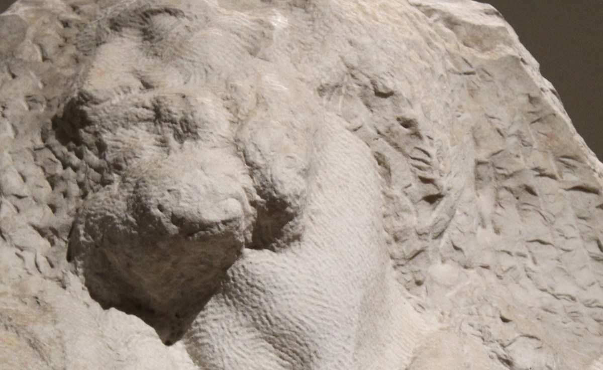 24 aprile 1503: la promessa dei dodici apostoli per&nbsp;Firenze