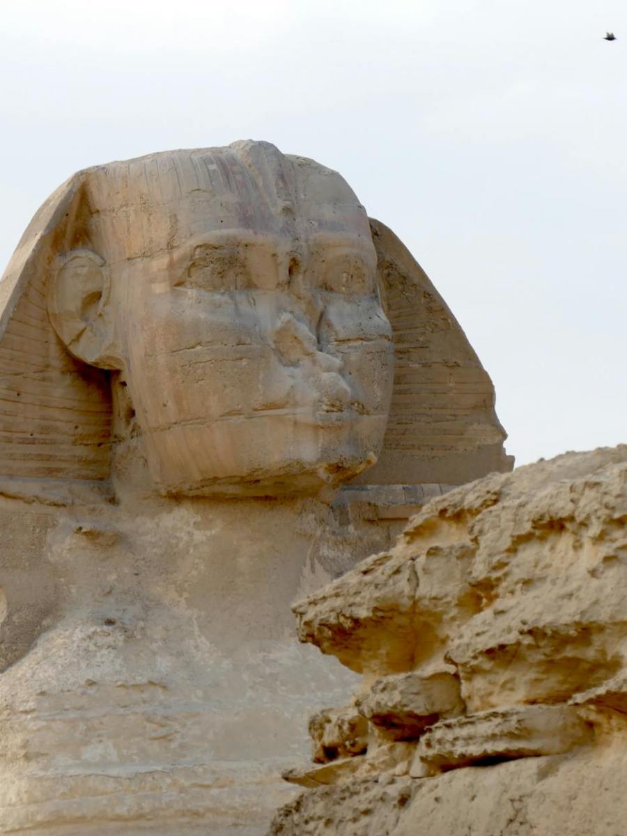 Frammento dell’Iliade in una mummia in Egitto: scoperta straordinaria a&nbsp;Oxyrhynchus