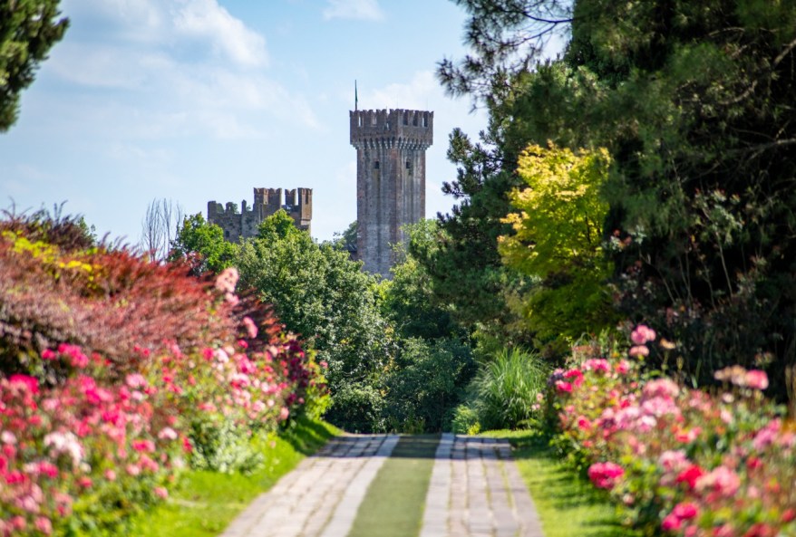 Parco Giardino Sigurtà, la magia dell’estate: migliaia di rose, fiori di loto e scenari da favola