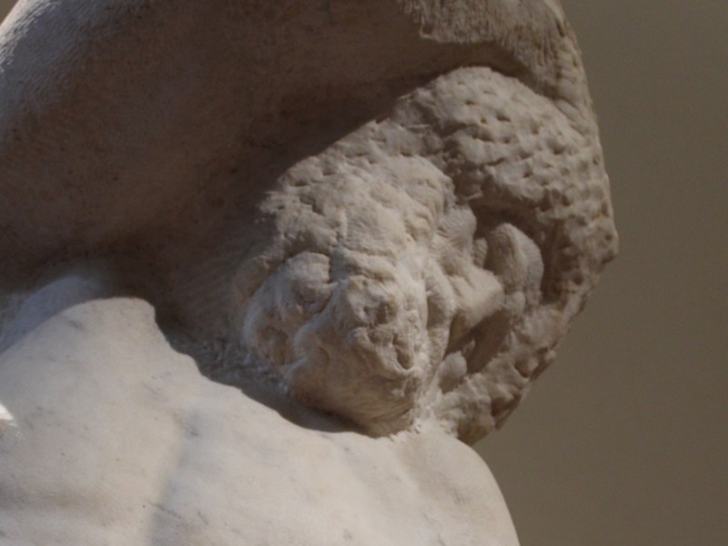 Non la bellezza, ma la pietà del&nbsp;cuore