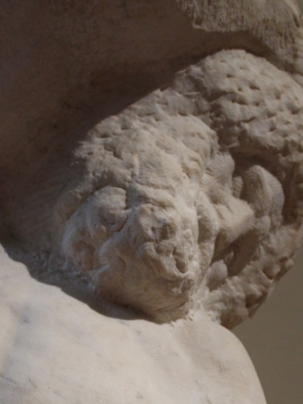 Non la bellezza, ma la pietà del&nbsp;cuore