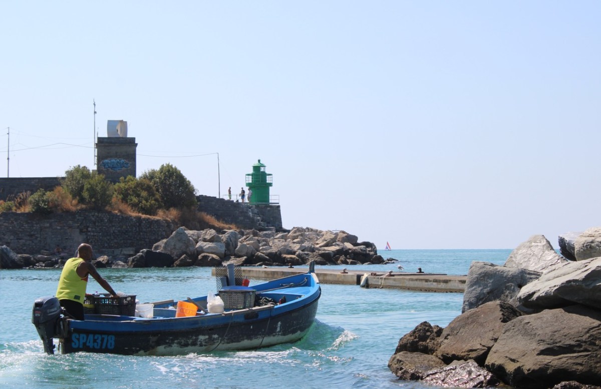 Mytiliade 2026: alla scoperta dei muscoli del Golfo della&nbsp;Spezia