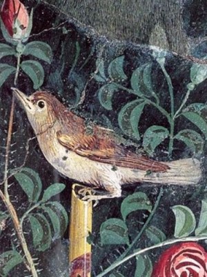 Uccelli nella storia dell’arte: significati, simboli e capolavori da&nbsp;conoscere
