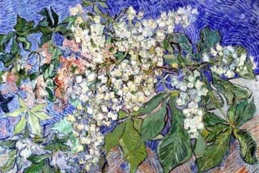 Van Gogh da 200 milioni e Cézanne da 150: due capolavori infiammano le aste d’autunno