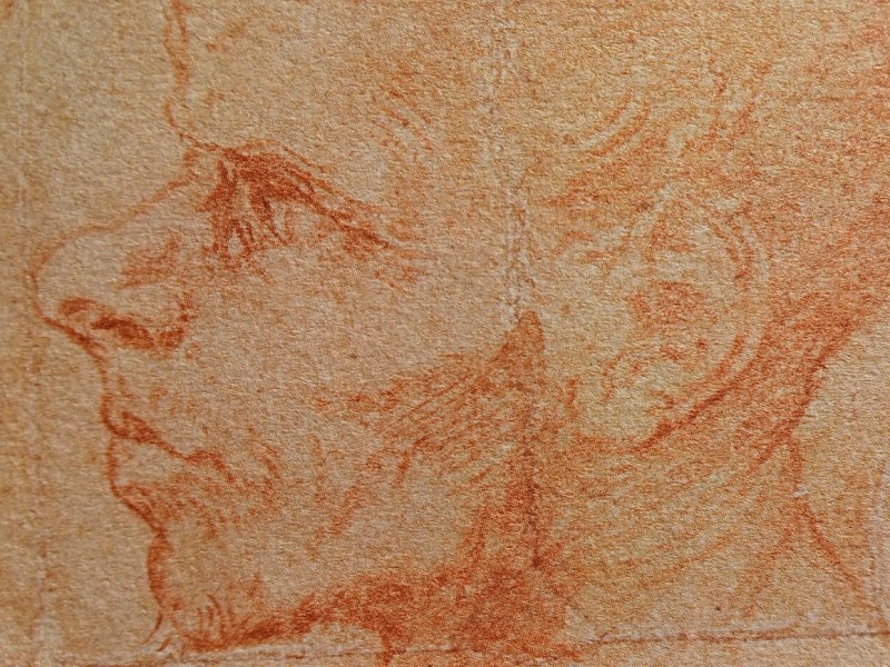 L’insolito volto: il piccolo capolavoro dell’Ashmolean Museum