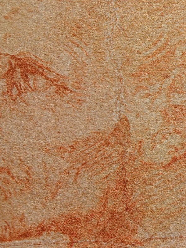 L’insolito volto: il piccolo capolavoro dell’Ashmolean Museum