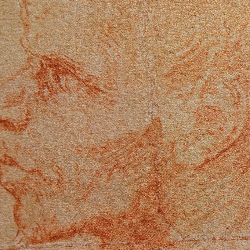 L’insolito volto: il piccolo capolavoro dell’Ashmolean Museum