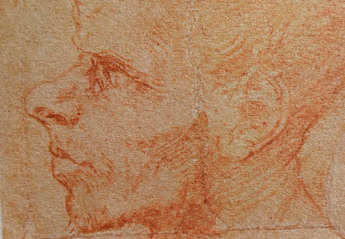 L’insolito volto: il piccolo capolavoro dell’Ashmolean Museum
