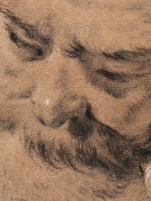 Giovanni Battista Piazzetta, il vecchio che sembra vivo: la poesia in un&nbsp;disegno