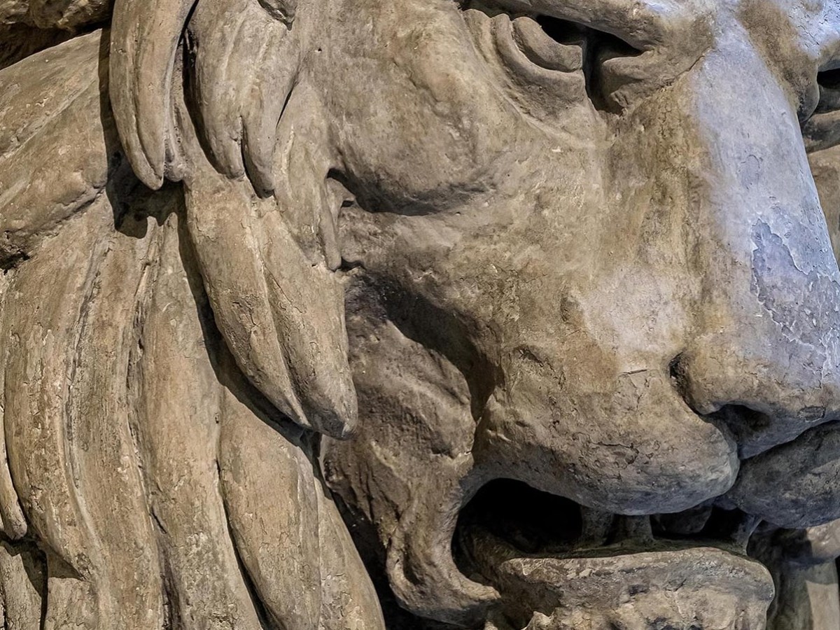 Palazzo Vecchio, il restauro svela la vera natura dei quattro leoni e il mistero della fontana&nbsp;greca