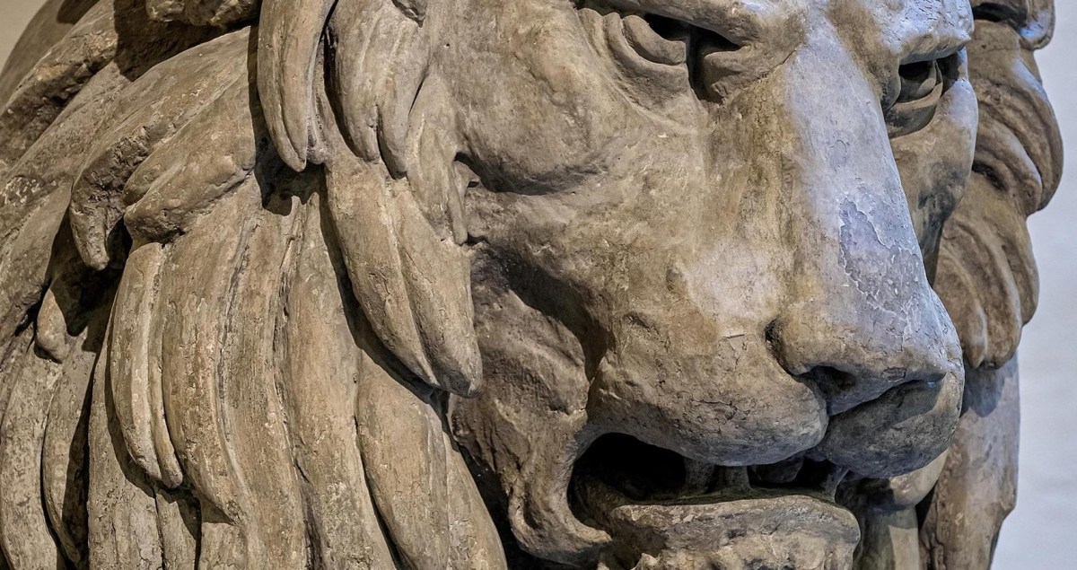 Palazzo Vecchio, il restauro svela la vera natura dei quattro leoni e il mistero della fontana&nbsp;greca